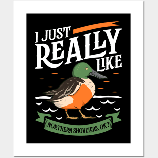 I just really like Northern Shovelers Posters and Art